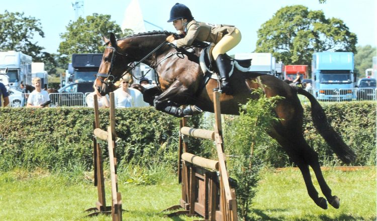 The Royal Cheshire County Show 2022 – Light Horses Competitor Information utilRequest 2 750x440 - The Royal Cheshire County Show 2022 – Light Horses Competitor Information